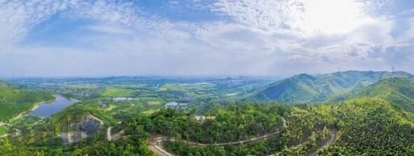 大象传媒 米欧-探索大象传媒与米欧的创意融合，构建文化桥梁的独特力量